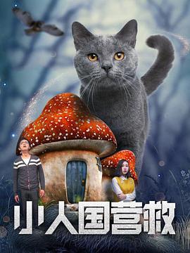国产视频每日更新