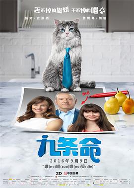 国产视频欧美