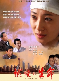 国产二区在线播放