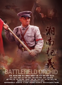 小草av在线