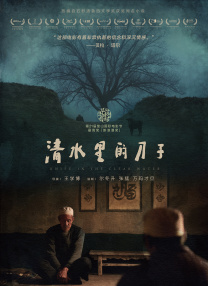 国产精品系列在线