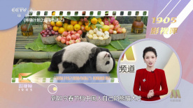 国产不卡av在线